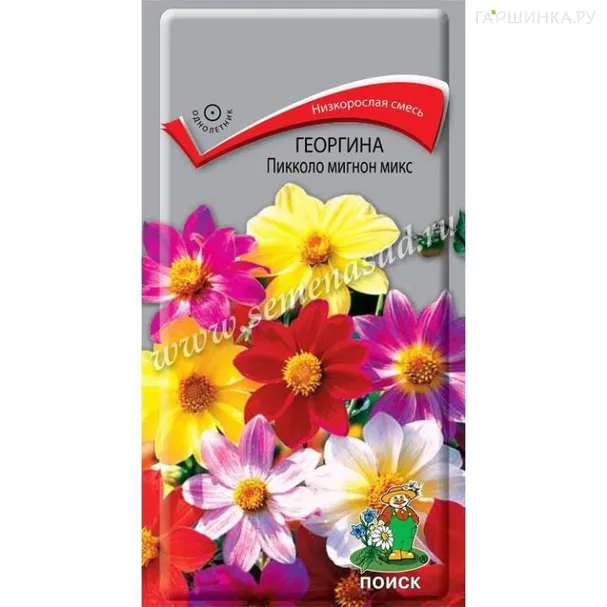 Георгина Пикколо мигнон микс  0,3гр  ЦП