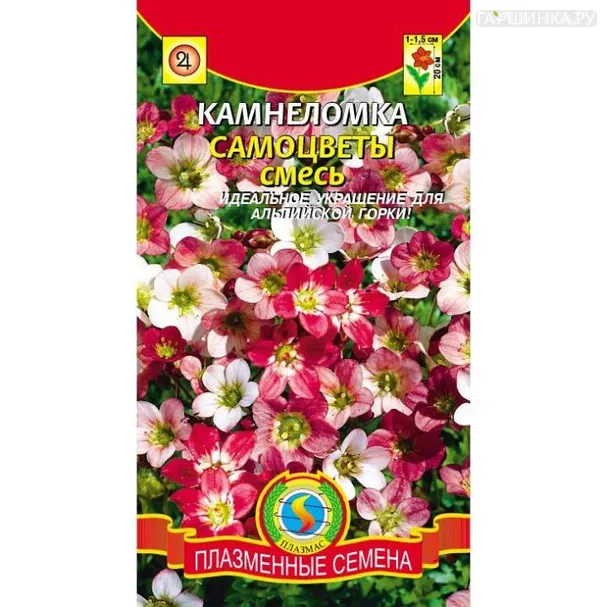Камнеломка Самоцветы, смесь 0,2гр ЦП