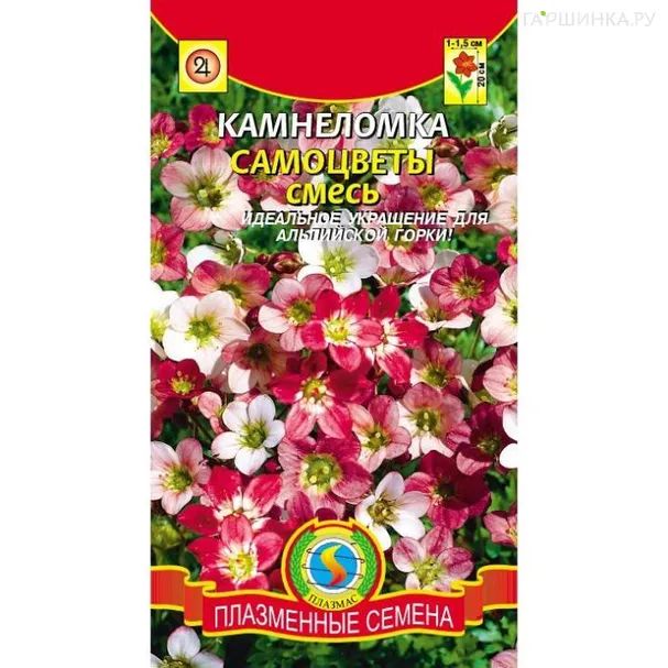 Камнеломка Самоцветы, смесь 0,2гр ЦП