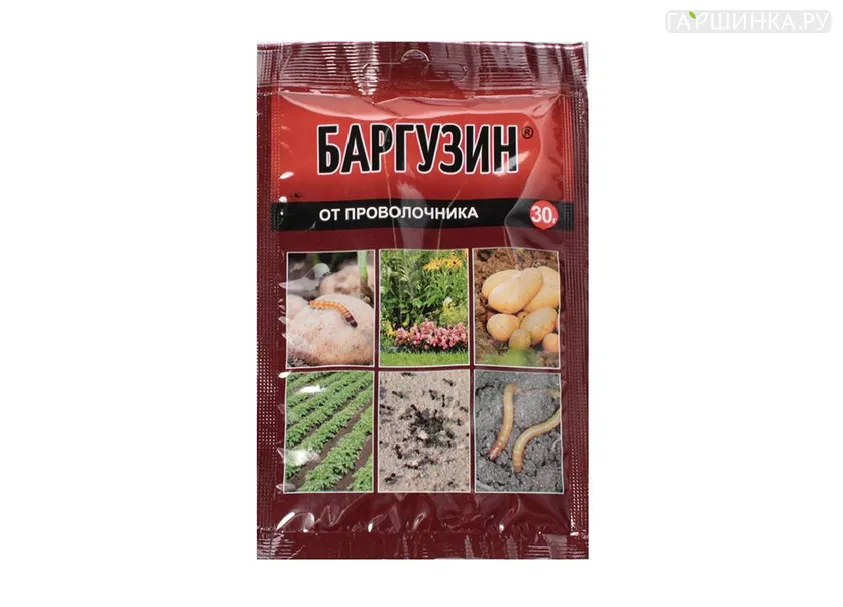 Баргузин