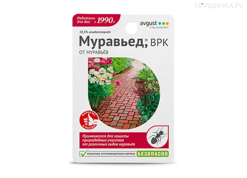 Муравьед