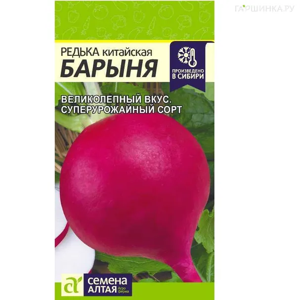 Редька китайская  Барыня 1гр ЦП