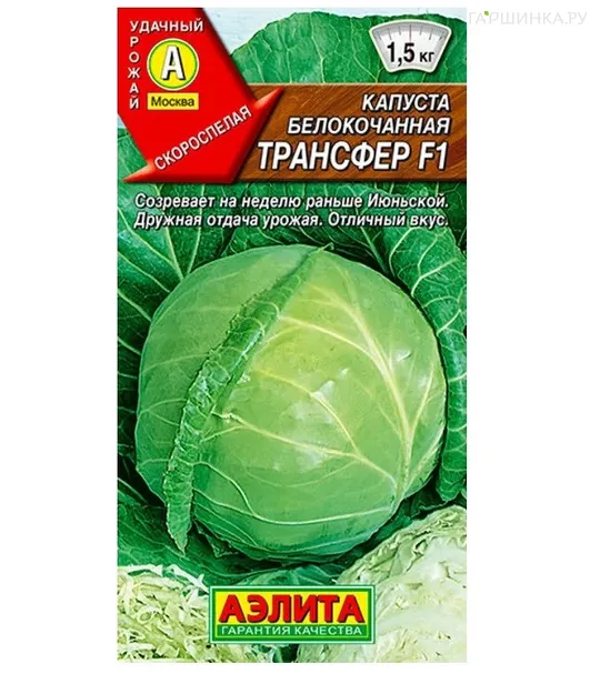 Капуста Трансфер белокочанная 0,1гр ЦП Семена Аэлита
