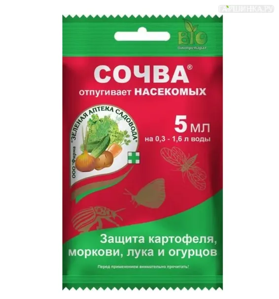 Сочва
