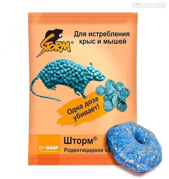 Шторм Чистый дом