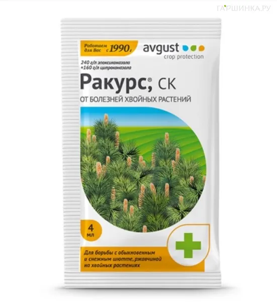 Ракурс 4 мл