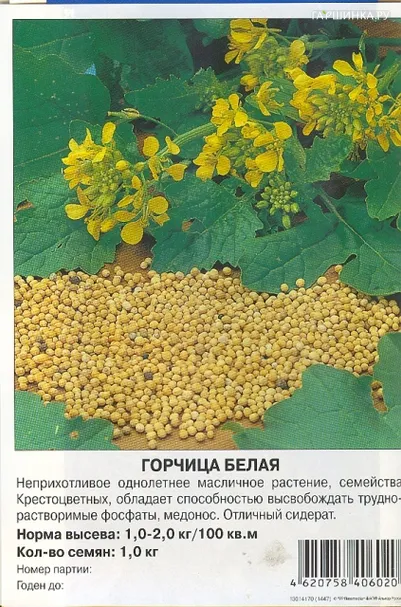 Горчица белая 1 кг, Семена Престиж