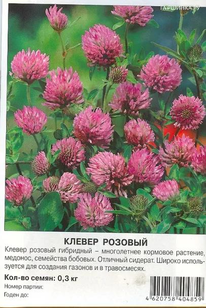 Клевер розовый 0,3 кг, Семена Престиж