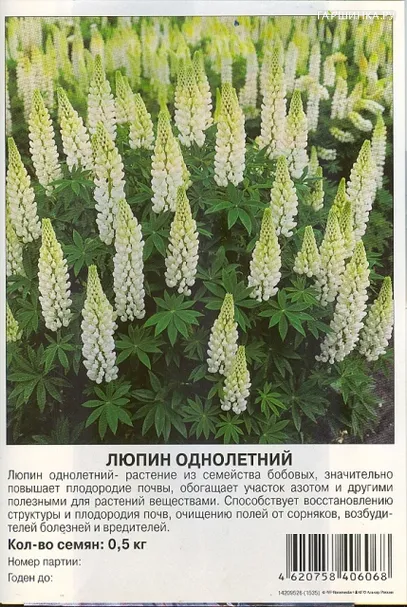 Семена Люпин однолетний 0,5 кг, Престиж