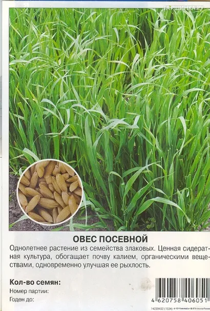 Овес посевной 0,7 кг, Престиж