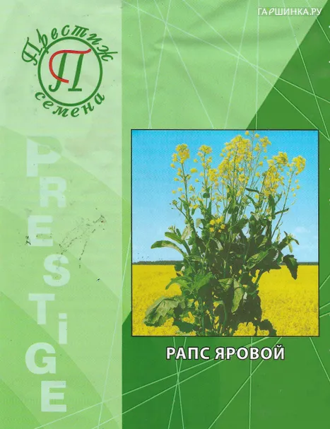 Семена Рапс 0,5 кг, Престиж
