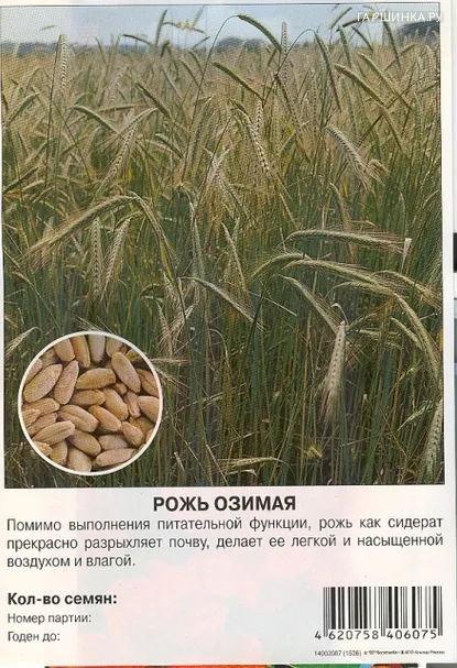 Рожь озимая 0,7 кг, Престиж