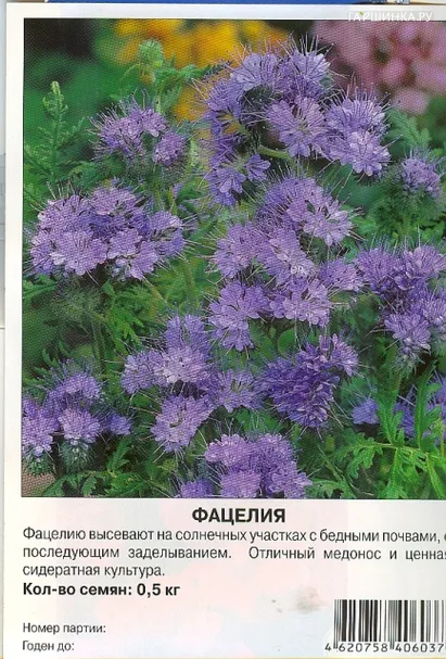 Фацелия 0,5 кг, Престиж