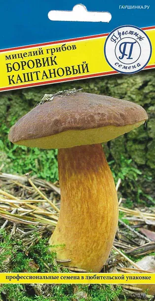 Боровик каштановый 60 мл, Престиж