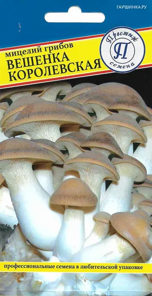 Вешенка королевская 12палочек, Семена Престиж