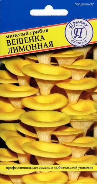 Вешенка лимонная или золотая 12 палочек, Семена Престиж