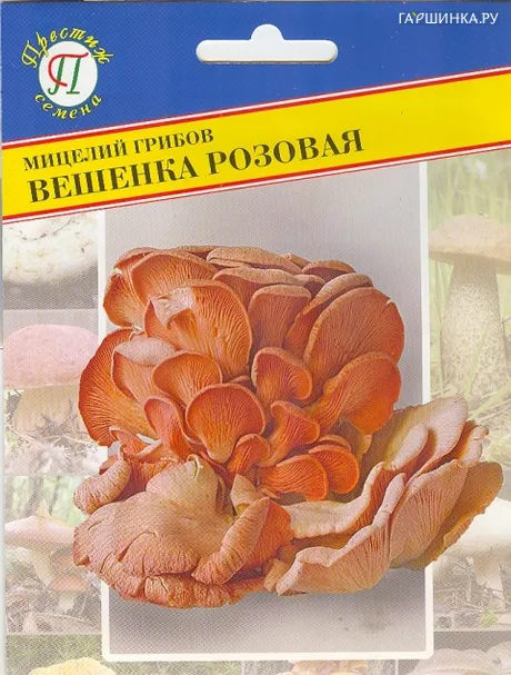 Вешенка розовая 12палочек, Семена Престиж