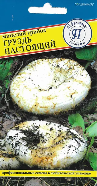 Груздь настоящий 50 мл, Семена Престиж