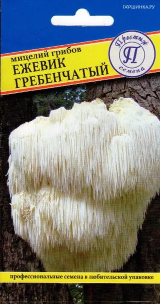 Ежевик гребенчатый (Ямабуши) 12 палочек, Семена Престиж