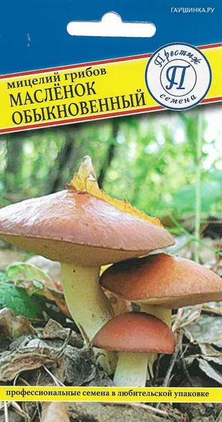 Масленок обыкновенный 50 мл, Семена Престиж