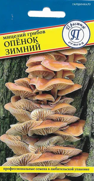 Опенок зимний 50 мл, Семена Престиж