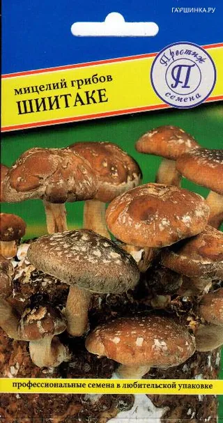 Шиитаке 12 палочек, Семена Престиж