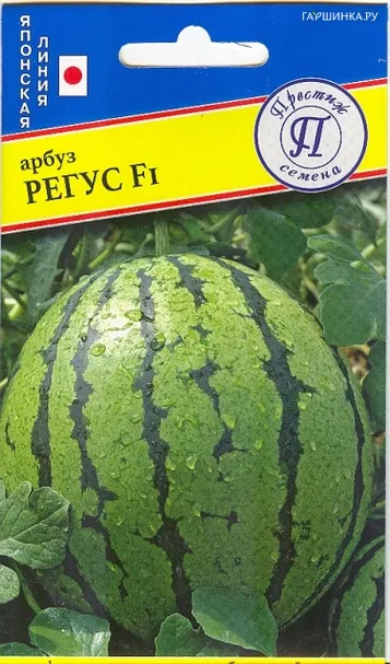 Арбуз "Регус" F1 3 шт, Престиж