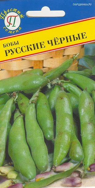 Бобы Русские чёрные 10 шт, Семена Престиж