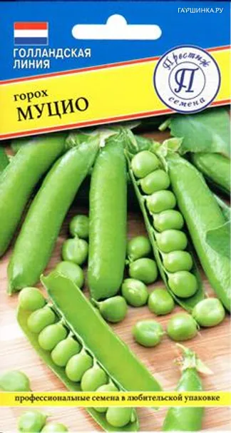 Горох Муцио 4 г, Семена Престиж