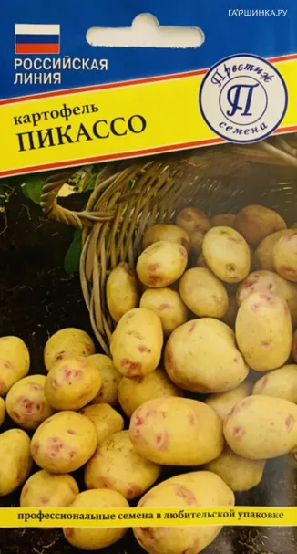 Картофель Пикассо 0,05 г, Семена Престиж