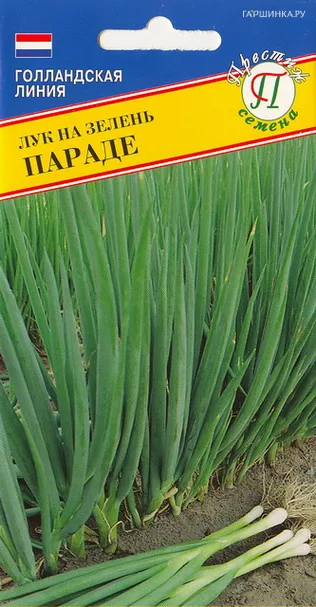 Лук Батун Параде 0,5 г, Семена Престиж