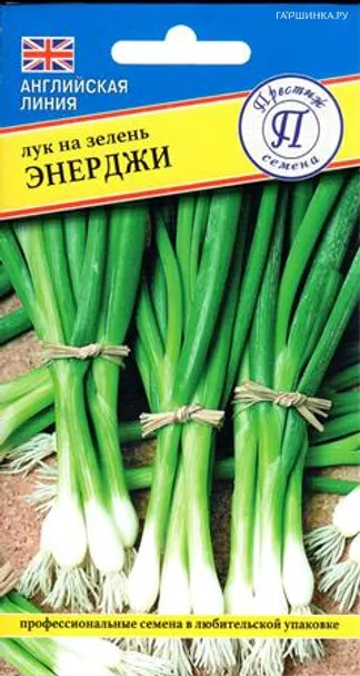 Лук Батун Энерджи 0,5 г, Семена Престиж