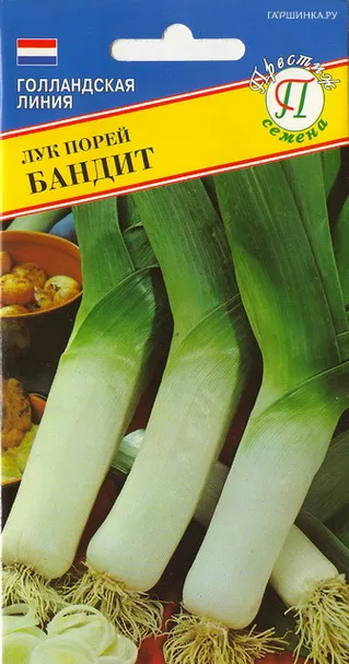 Лук Порей Бандит 100 шт, Семена Престиж