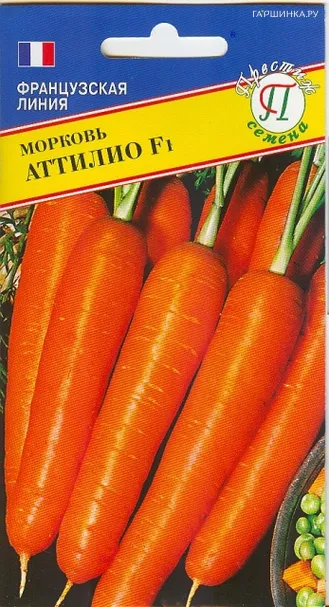 Морковь Аттилио 0,5 г, Семена Престиж