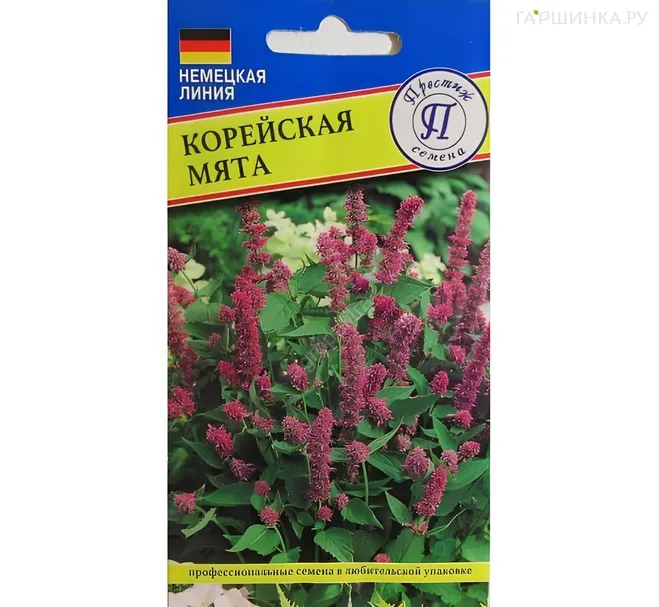 Мята корейская 0,05 г, Семена Престиж