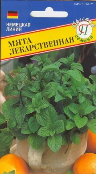 Мята лекарственная 0,05 г, Семена Престиж