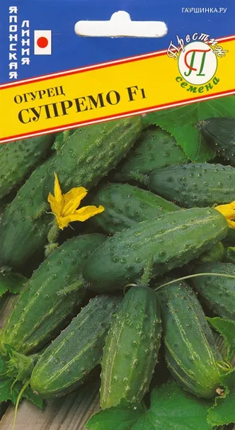 Огурец "Супремо" F1 10 шт, Престиж