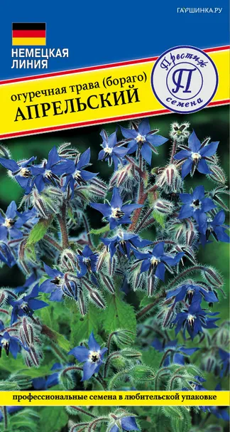 Бораго (Огуречная трава) 0,5 г, Семена Престиж