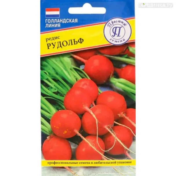 Редис Рудольф 1 г, Семена Престиж