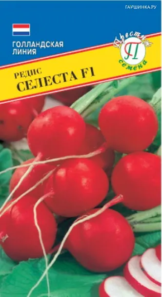 Редис Селеста F1 1 г, Семена Престиж