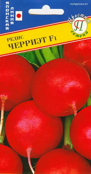 Редис Черриэт F1 1 г, Семена Престиж