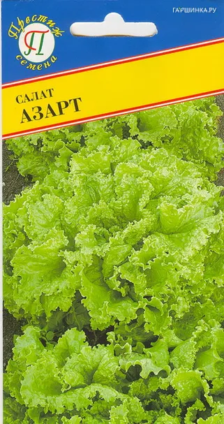 Салат Азарт 0,5 г, Семена Престиж