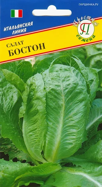 Салат Бостон 0,5 г, Семена Престиж