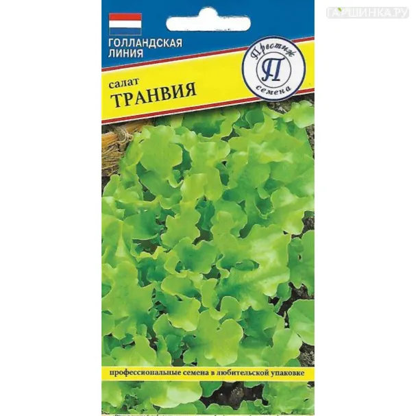 Салат Транвия 10 шт, Семена Престиж