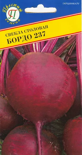 Свекла Бордо 237 столовая 1 г, Семена Престиж