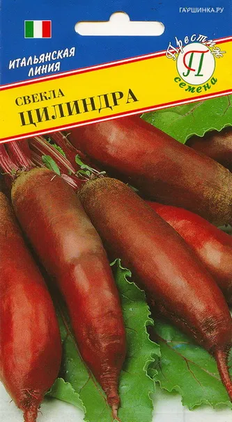 Свекла Цилиндра столовая 1 г, Семена Престиж