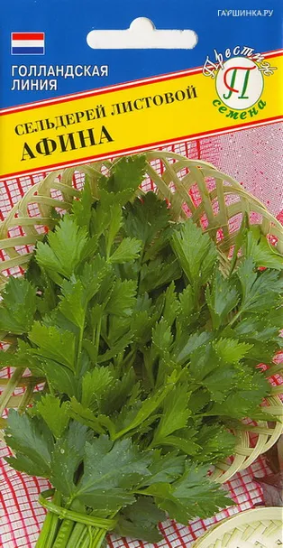 Сельдерей листовой Афина 0,3 г, Семена Престиж