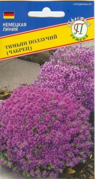 Тимьян ползучий 0,05 г, Семена Престиж