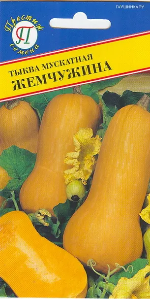 Тыква мускатная Жемчужина 5 шт, Семена Престиж