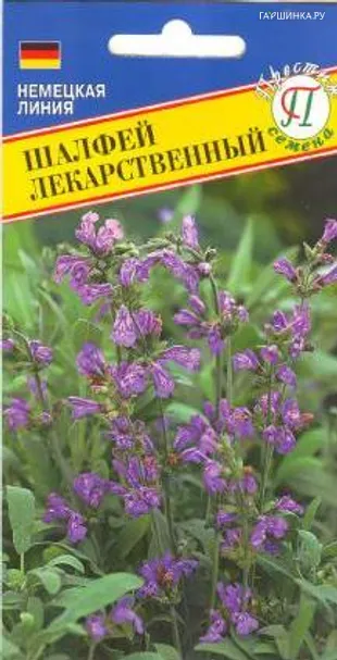 Шалфей 0,1 г, Семена Престиж